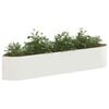 Product Thumbnail Image 2 of 7