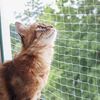 Kerbl Cat Safety Net 6x3 m Transparent