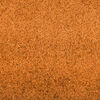 vidaXL Doormat Other Orange and Black 120 x 400 cm Polyamide and PVC