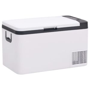 vidaXL Cool Box with Handle Black and White 25 L PP & PE