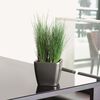 LECHUZA Planter QUADRO LS 43 ALL-IN-ONE Charcoal 16183