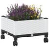 Product Thumbnail Image 3 of 8