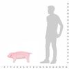 vidaXL Standing Plush Toy Pig Pink XXL