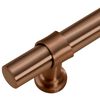 vidaXL Cabinet Handles 10 pcs Bronze 128 mm Stainless Steel