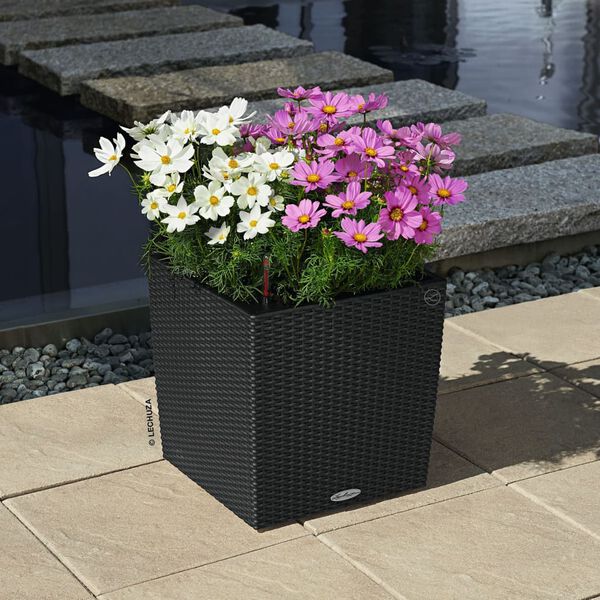 LECHUZA Planter CUBE Cottage 30 ALL-IN-ONE Granite
