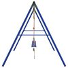 vidaXL Outdoor Swing Set with Swings and Ladder
