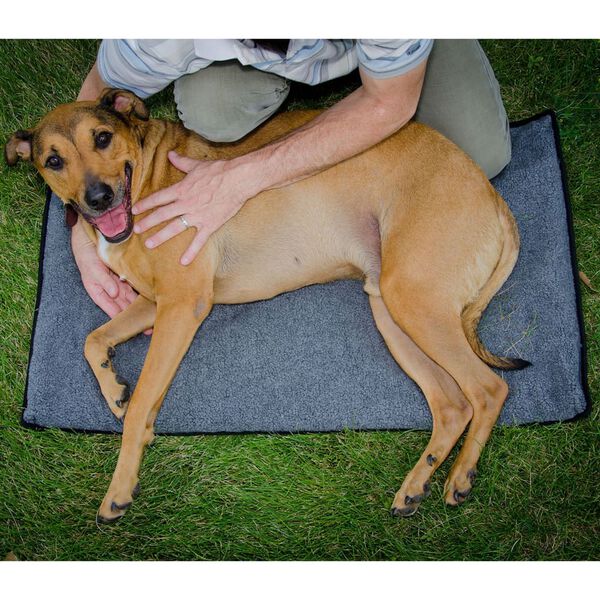 FitPAWS Dog Stretching Pad K9FITbed M/L Grey
