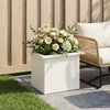 Product Thumbnail Image 2 of 12