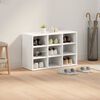 vidaXL Shoe Cabinet with Shelf White 77.5 x 30 x 51 cm Engineered Wood