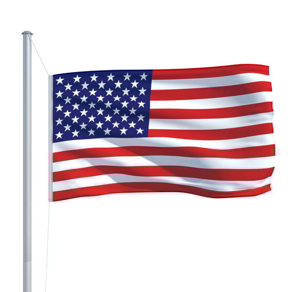 vidaXL US Flag 90x150 cm
