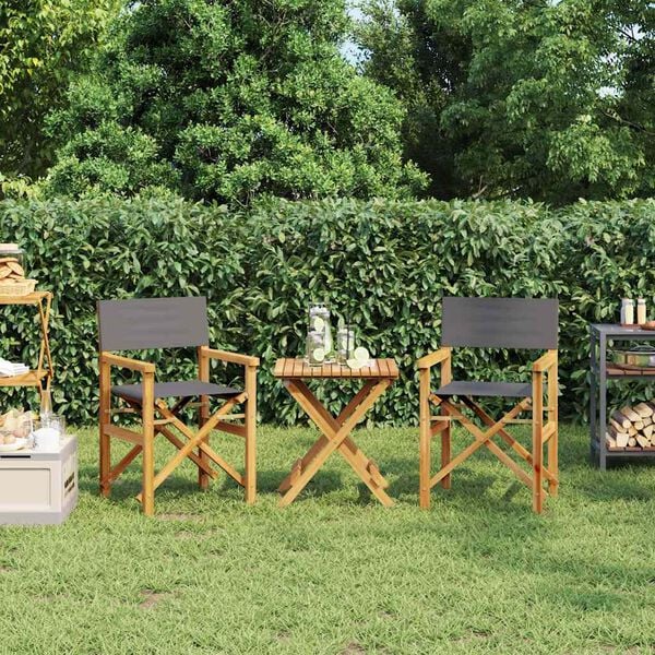 vidaXL Folding Director's Chairs 2 pcs Grey Solid Wood Teak