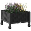 Product Thumbnail Image 3 of 8