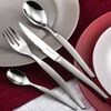 Lou Laguiole 24 Piece Cutlery Set Jet Satin Silver