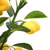 Product Thumbnail Image 4 of 5