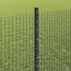 Product Thumbnail Image 4 of 13