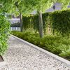 Product Thumbnail Image 2 of 9