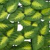 Product Thumbnail Image 4 of 6