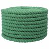 vidaXL Cotton Rope 20 mm 100 m Green 100% Cotton