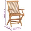 vidaXL Folding Garden Chairs 2 pcs Solid Teak Wood