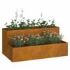 vidaXL Garden Planter Rusty 100 x 60 x 45 cm Weathering Steel