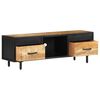 vidaXL TV Cabinet 120x30x40 cm Rough Mango Wood