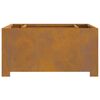 vidaXL Fire Pit Brown 80 x 80 x 40 cm Weathering steel