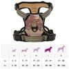 Product Thumbnail Image 14 of 14