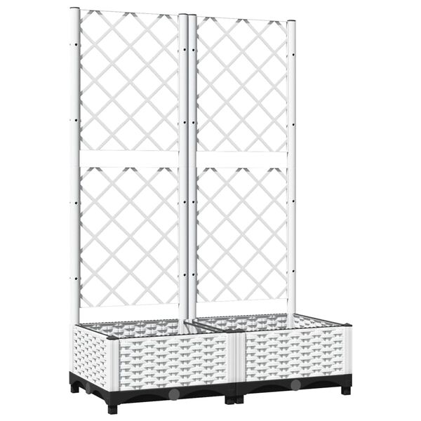 Showing Product Image 2 of 7