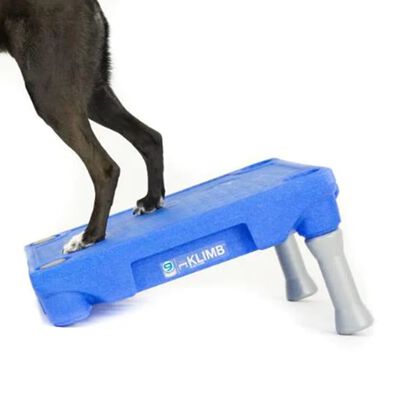 BLUE-9 Platform for KLIMB Dog Training System Blue