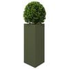 Product Thumbnail Image 4 of 12