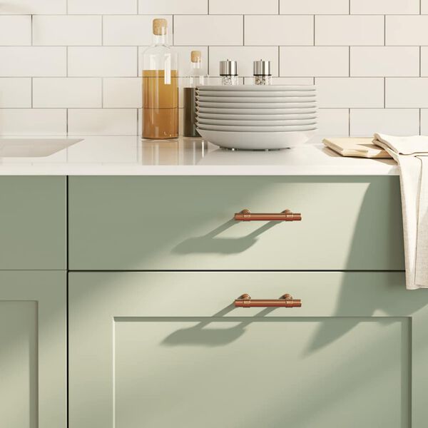 vidaXL Cabinet Handles 10 pcs Bronze 64 mm Stainless Steel