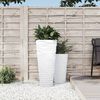 Product Thumbnail Image 2 of 6