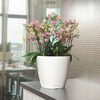 LECHUZA Planter CLASSICO LS 28 ALL-IN-ONE High-Gloss White 16040