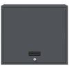 vidaXL Wall Cabinet for Garage with Gas-lift Door Anthracite