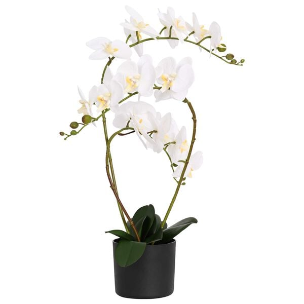 Showing Product Image 1 of 5