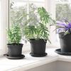 Product Thumbnail Image 4 of 10