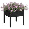 vidaXL Garden Planters 2 pcs Black 70x70x70 cm Solid Pinewood