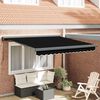 vidaXL Retractable Awning Black 300 x 250 cm Fabric and Metal