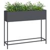 Product Thumbnail Image 3 of 12