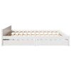 Product Thumbnail Image 7 of 12