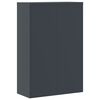 vidaXL File Cabinet Anthracite 90x40x180 cm Steel
