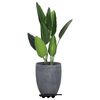 Product Thumbnail Image 2 of 7