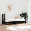 vidaXL Pull-out Day Bed without Mattress Black 2x(90x190) cm
