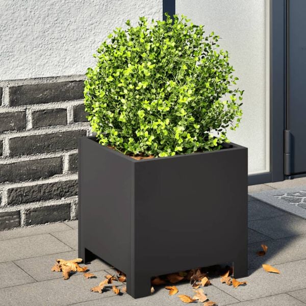 Showing Product Image 2 of 9