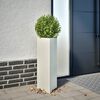 Product Thumbnail Image 2 of 12