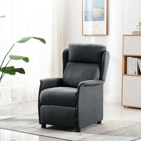 vidaXL Recliner Chair Dark grey 67.5 x 93.5 x 101.5 cm Fabric