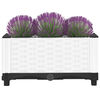 vidaXL Raised Bed 40x40x23 cm Polypropylene