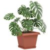 Product Thumbnail Image 3 of 12