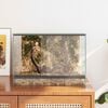 vidaXL Reptile and Amphibian Habitats White 40 x 30 x 30 cm Glass