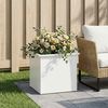 Product Thumbnail Image 2 of 12